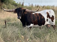 Stetson JH